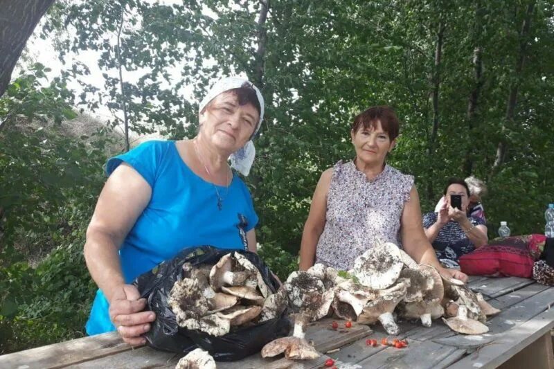 Акбулакский район Оренбургской области. Илек Оренбургская область. Новопавловка Акбулакский район. Старый Илек. Новости илека оренбургской области на сегодня