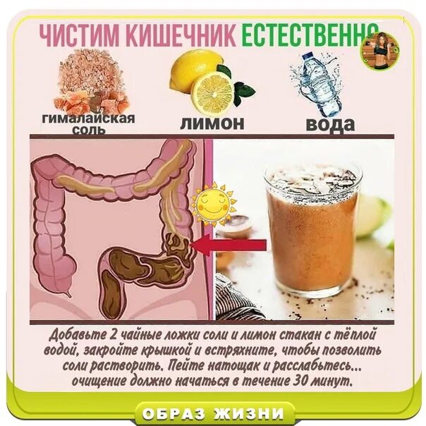 Как почистить кишечник дома без вреда здоровью. Чем чистить кишечник. Очистить кишечник в домашних условиях.