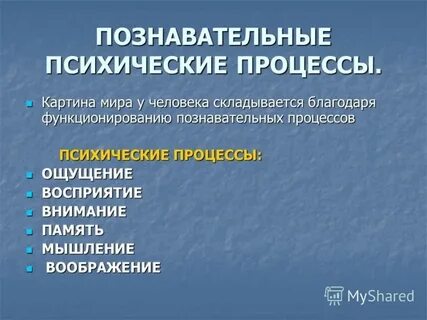 3 психические процессы