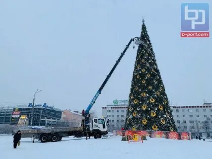 Елка в мурманске
