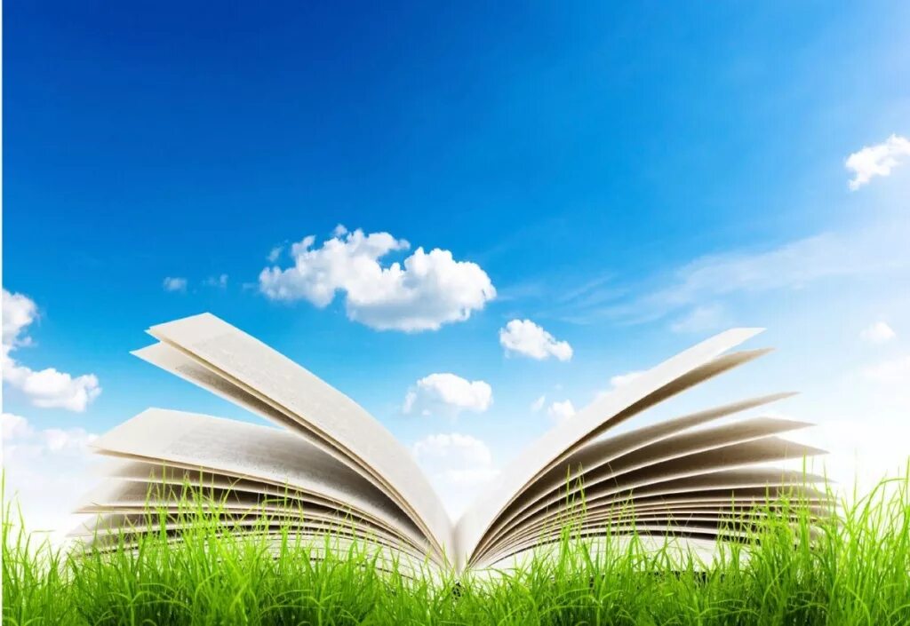 Реклама магнит. Гринвей уфа зорге 64. Продавец в магазине одежды. Режимная табличка. Рекламные баннеры магазин магнит.