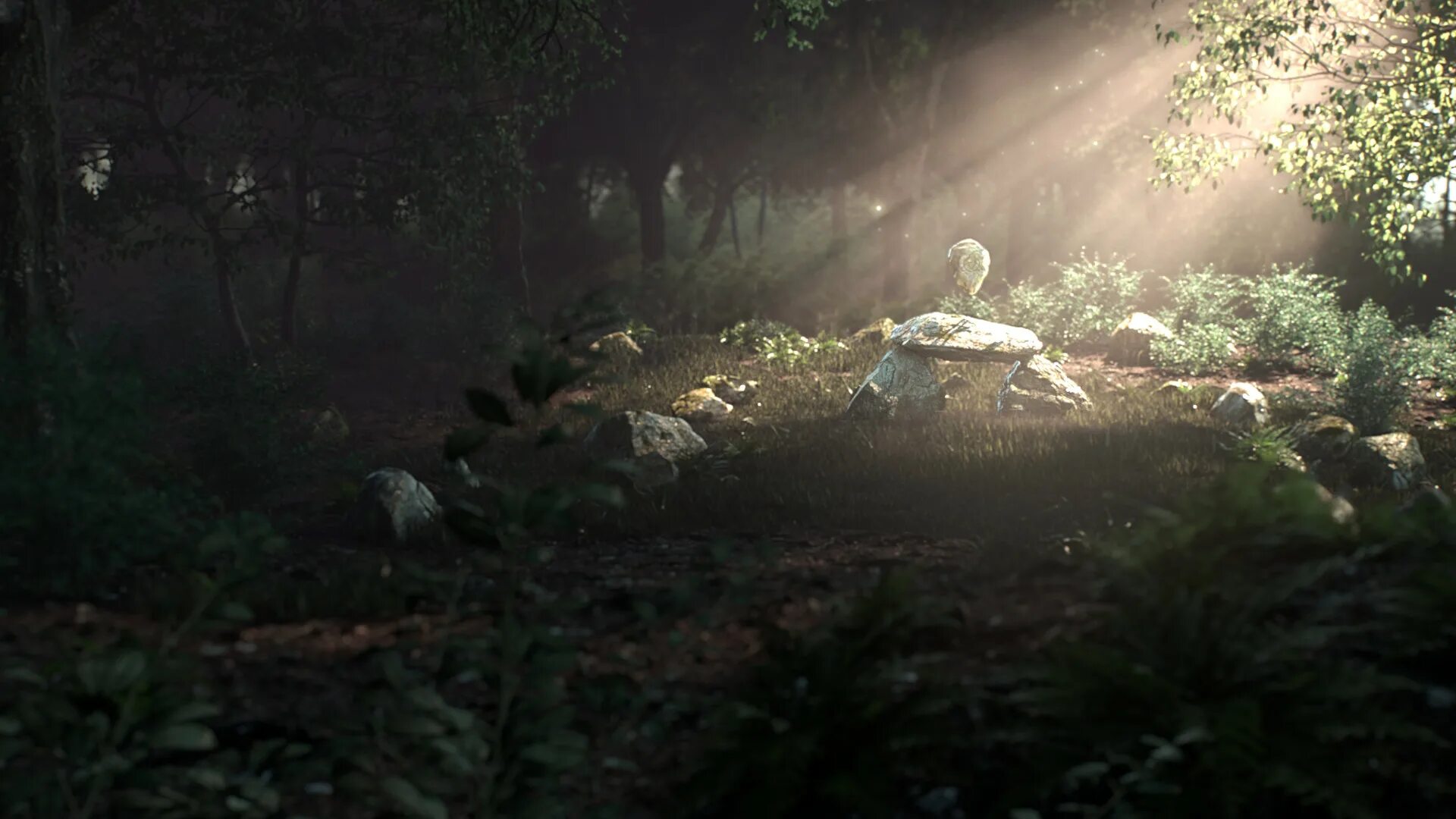 Delphine in the forest