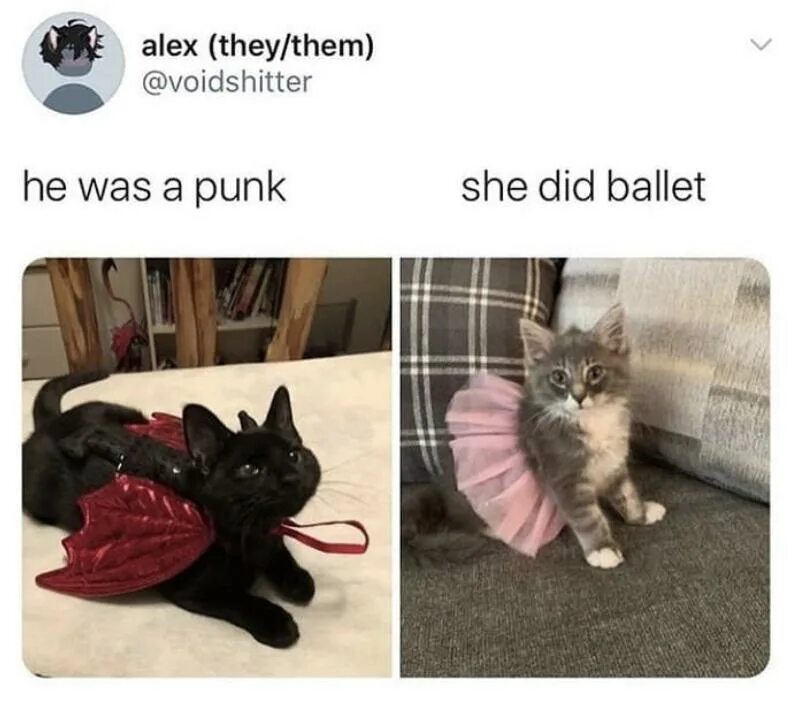 He was a punk. Микаэла де принс балерина. He was a punk she did ballet. Аврил лавин he was a boy. She loved ballet he was a punk meme.