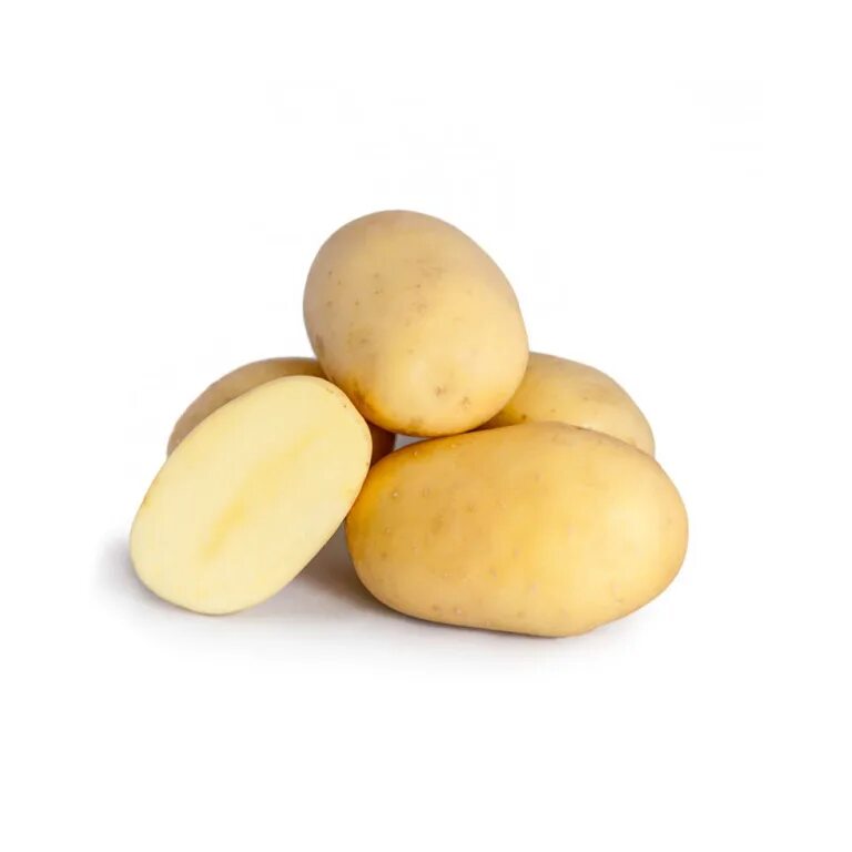 Сорт картофеля Коломбо. Картофель семенной Коломбо. Картофель сорта Латона семенной. Картофель семенной суперранний Коломбо,.