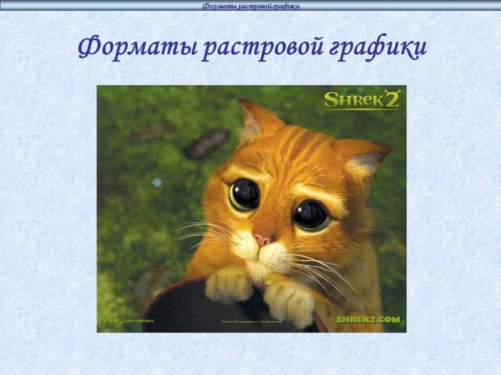Фото растровой графики. Растровая Графика кот. Крутые фотографии растровой графики. Растровая Графика картинки кот