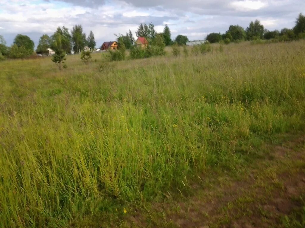 Земля новгородская область. Город волхов берег. Земля новгородская область. Земля новгородская область. Земля новгородская область.