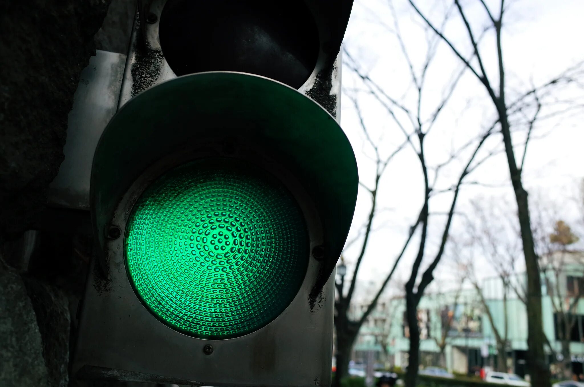 Зеленый свет аптека. Зеленый светофор. Зеленый сигнал светофора. Зеленый свет светофора. Зеленый цвет светофора.