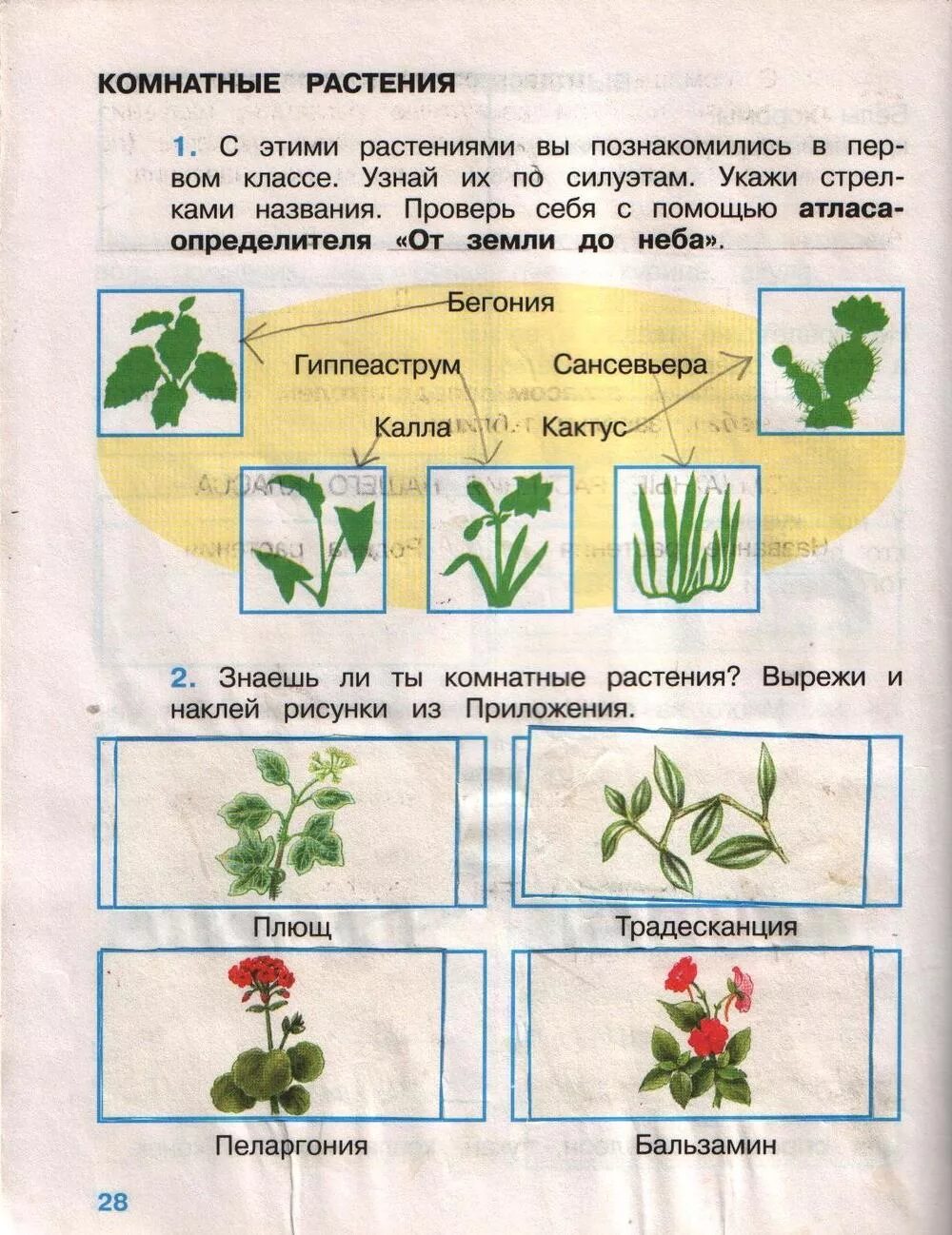 Окружающий мир страница 46 50. Окружающий мир рабочая тетрадь 2 класс Плешаков про растения. Комнатные растения окружающий мир 1 класс рабочая тетрадь Плешаков. Окружающий мир 2 класс рабочая тетрадь Плешаков комнатные растения. Комнатные растения окружающий мир 2 класс рабочая тетрадь.