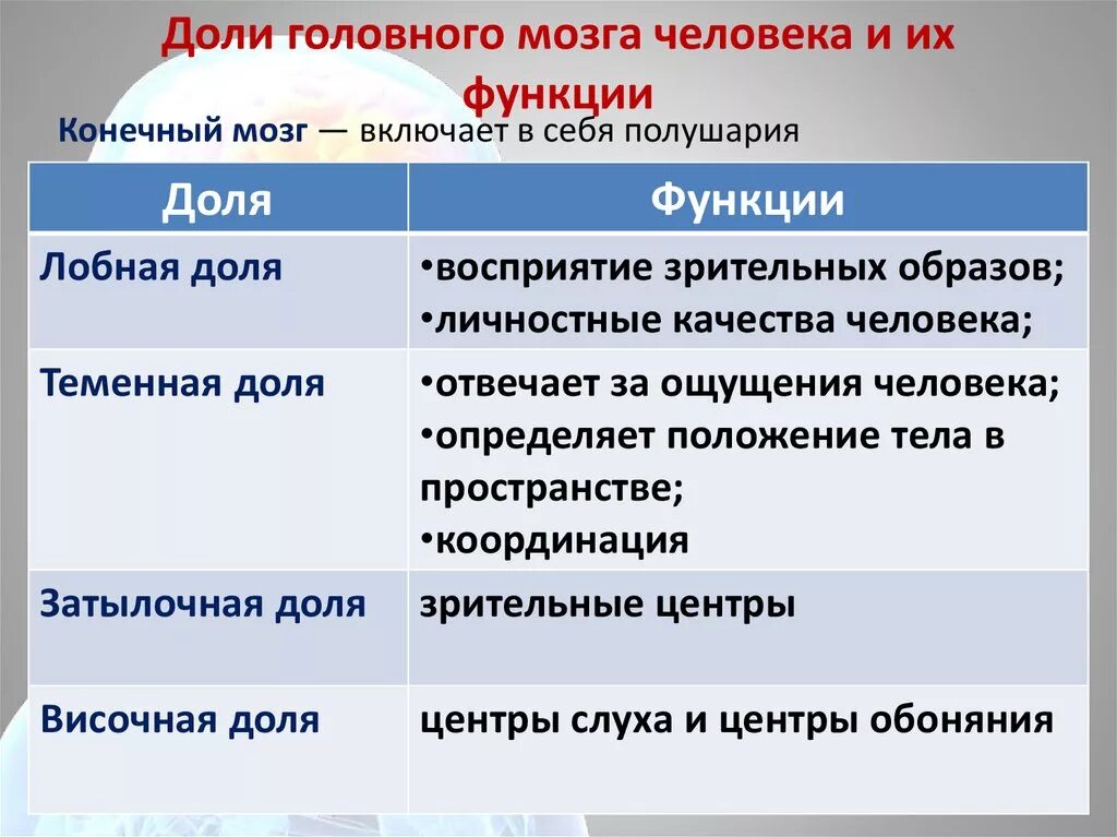 Функции долей переднего мозга