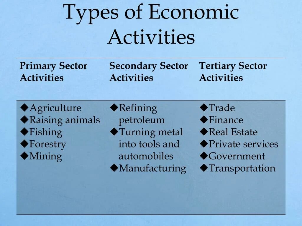 Economic activity. Secondary sector. Economic sectors. Types of economic activity. Activity definition