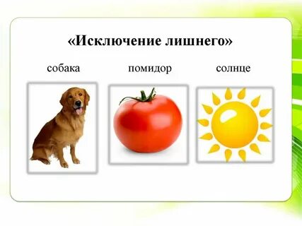 Укажите лишнее название