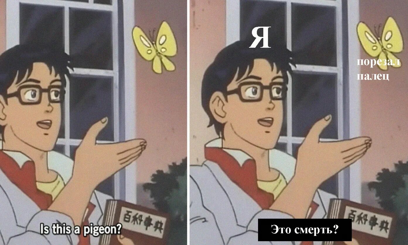 This is a copy of me. Мем с бабочкой. парень с бабочкой мем. мем с бабочкой оригинал. is this a pigeon оригинал.