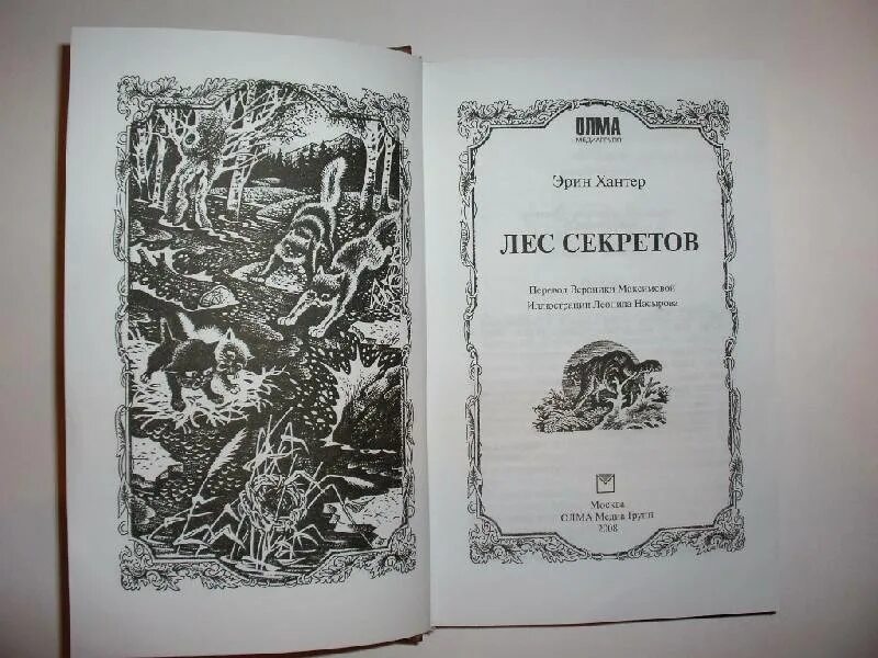 Хантер Эрин "лес секретов". Хантер Эрин "лес секретов" иллюстрации. Лес секретов Эрин. Лес секретов книга.