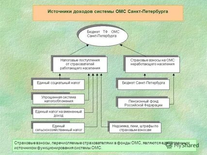 Сайт омс санкт петербурга