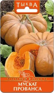 Вкусные сорта тыквы отзывы