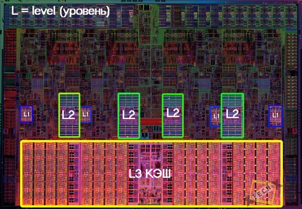 Процессор озу кэш-память. Cpu кэш. Cpu кэш. Производители процессоров. Кэш память процессора intel.