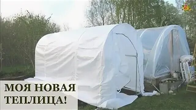 Сайт сибирские чудо теплицы