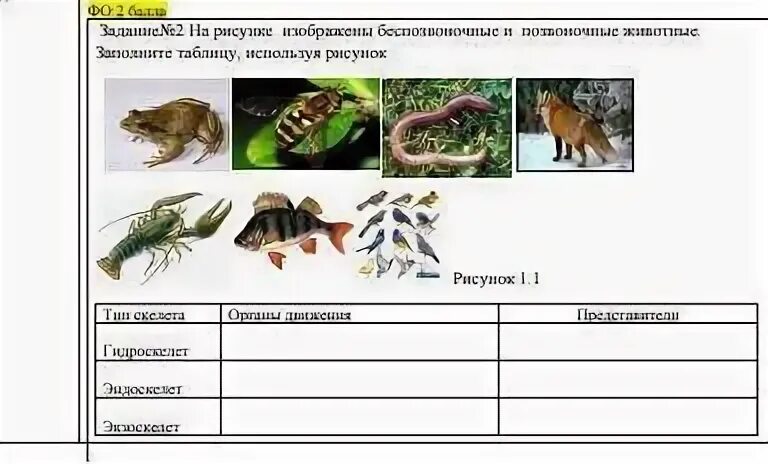 Контрольная работа по теме позвоночные животные 7. Позвоночные и беспозвоночные. Позвоночные животные таблица. Заполни таблицу позвоночные животные. Эскиз таблицы \животных позвоночных и беспозвоночных.