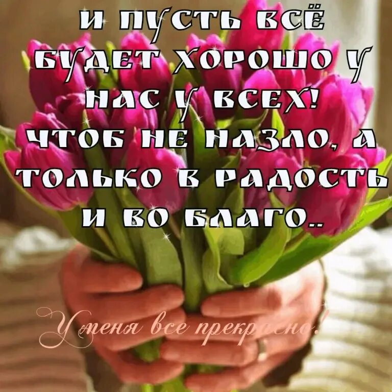 Всегда цвети всегда сияй. Пожелание здоровья мамочке. Пусть в твоей жизни будет хорошо. Пожелания счастья и добра. Поздравления на каждый день.