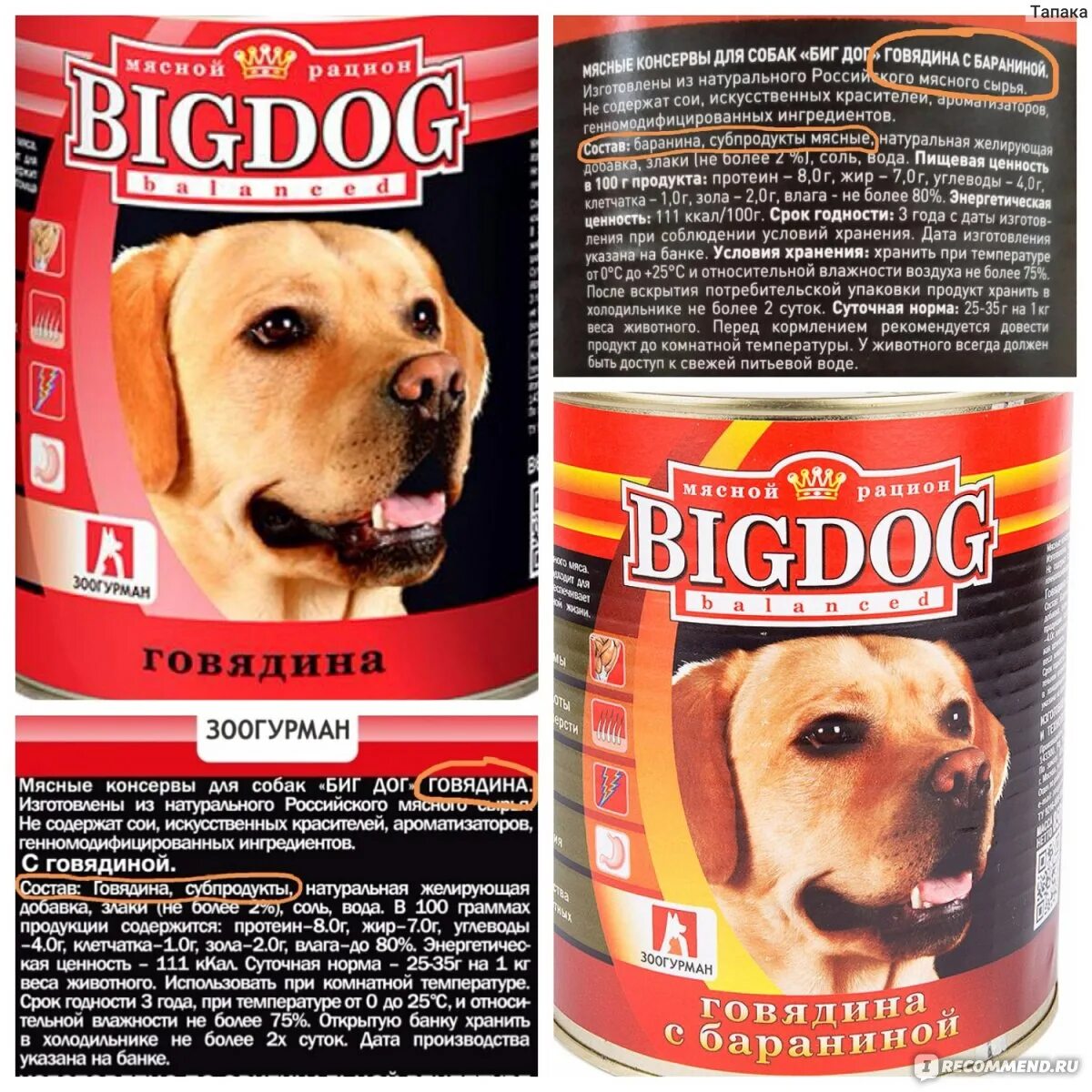 Сухой корм big dog для собак зоогурман. Хорошие фирмы кормов для собак. Корм педигри для собак средних пород норма. Линейка корма корм для собак. Линейка корма корм для собак.
