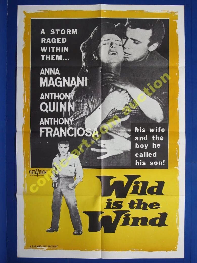 Дикий как ветер. Дикий ветер 1957. paul r. hazan wild is the wind.