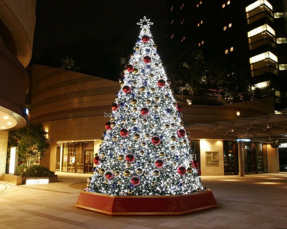 Американская новогодняя елка. Елка в мехико 2009. Ялта набережная елка. Елка в ялте 2021. Огромная ель.