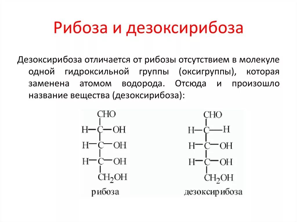 К моносахаридам относятся рибоза. Структура рибозы и дезоксирибозы. Строение дезоксирибозы формула. Структура формула рибозы. Дезоксирибоза формула химическая.