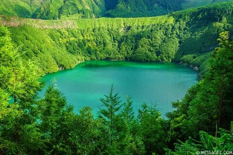 Зеленая лагуна