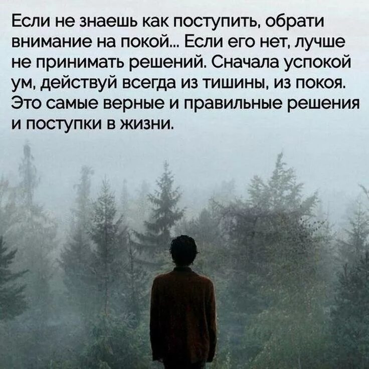 Цитаты со смыслом до слез. Статусы про тишину и спокойствие. Грустные мысли. Грустные цитаты со смыслом. Цитаты про тишину и спокойствие.
