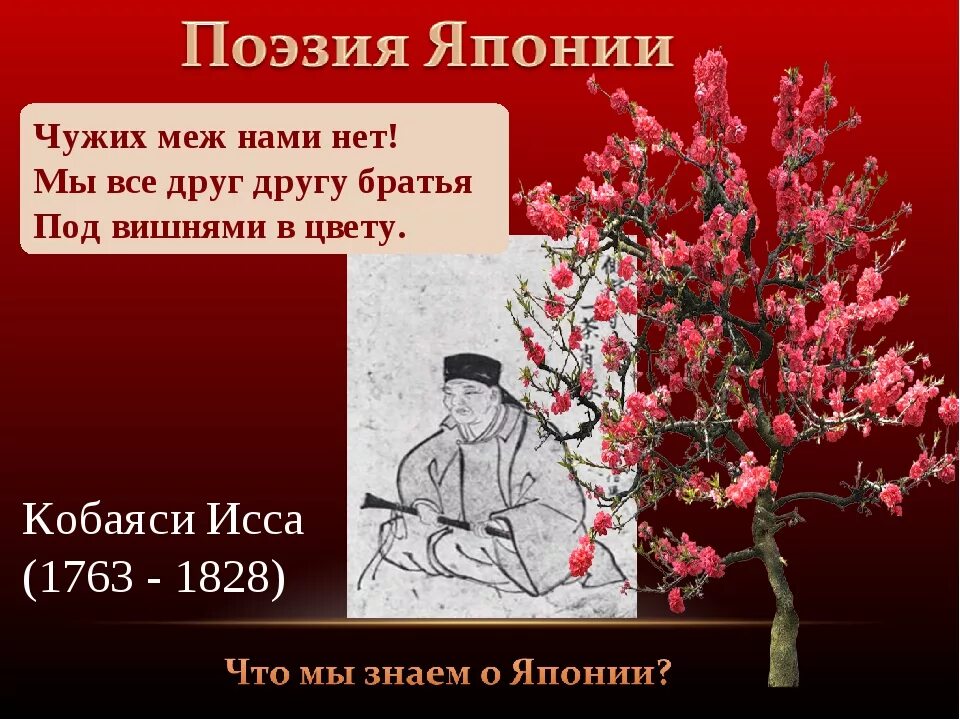 Сакура перевод. Кобаяси Исса хокку. Японские хокку о Сакуре. Хокку Мацуо басё про сакуру. Кобаяси Исса хокку Сакура.