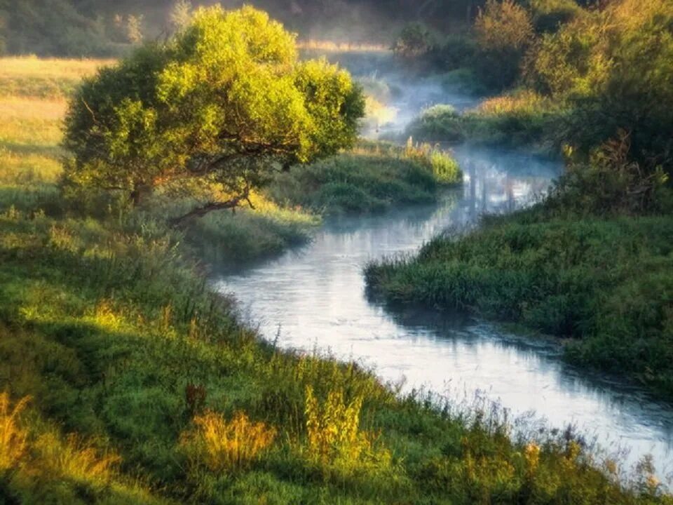 Крутой берег реки. Река яик современное название. Хотылево волга река. Волгоградское водохранилище. Устье исток русло схема.