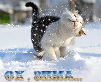 i?id=68f3f8df540d8b8892ba8d1d3e4a2afa887ef068-4217228-images-thumbs&n=13