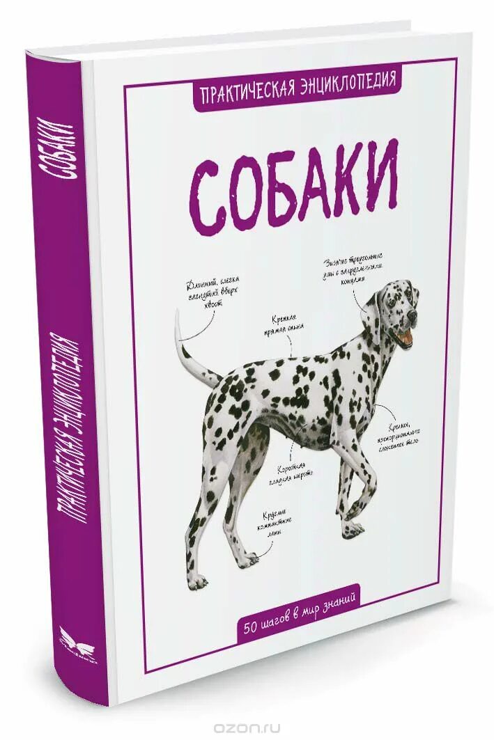 Книги о собаках отзывы. Собаки практическая энциклопедия Бедуайер. Книги про собак. Энциклопедия о собаках. Собака с книжкой.