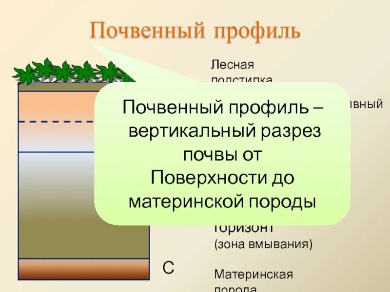 Материнская порода гумусовый вымывания вмывания. Почвенный профиль. Схема почвенного профиля. Почвенный профиль материнская порода. Почвенный разрез.