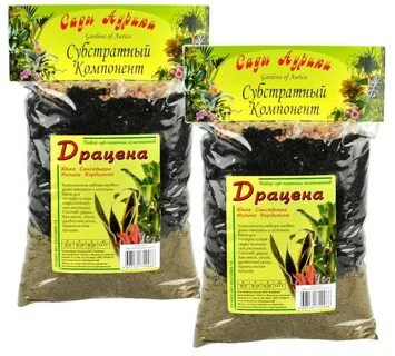 Почва для драцены