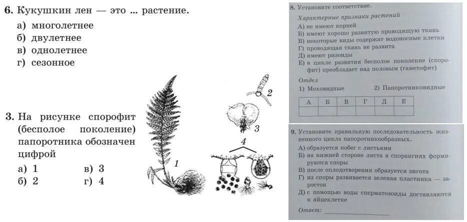 Вопросы по биологии 6. Вопросы по биологии 6 класс. Вопросы по биологии 6 класс с ответами. Тест-рисунок по биологии. Жизнедеятельность растений 6 класс биология контрольная работа