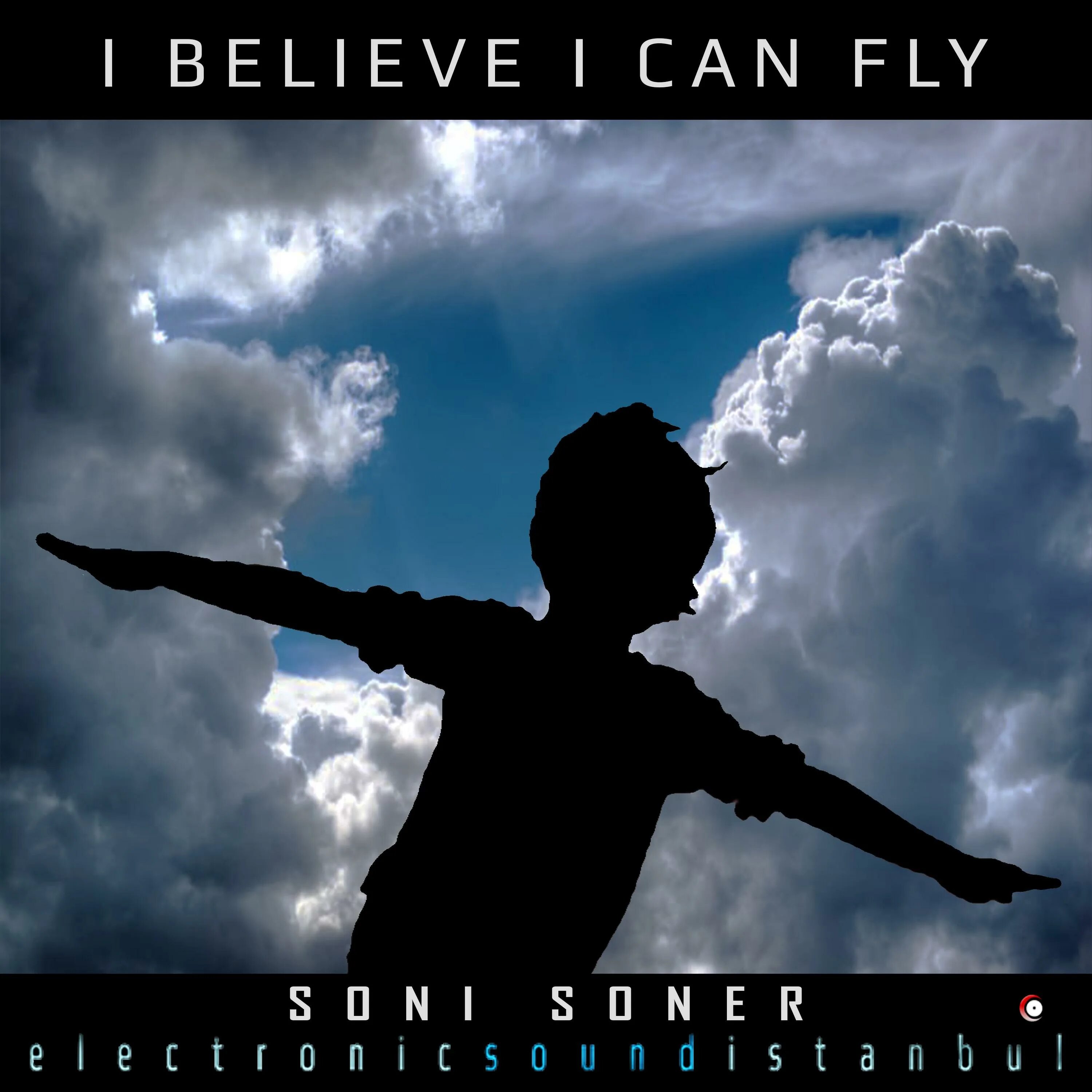 I can fly исполнитель. I can Fly. I believe i can Fly. Хчо i can Fly. I believe i can Fly певец.