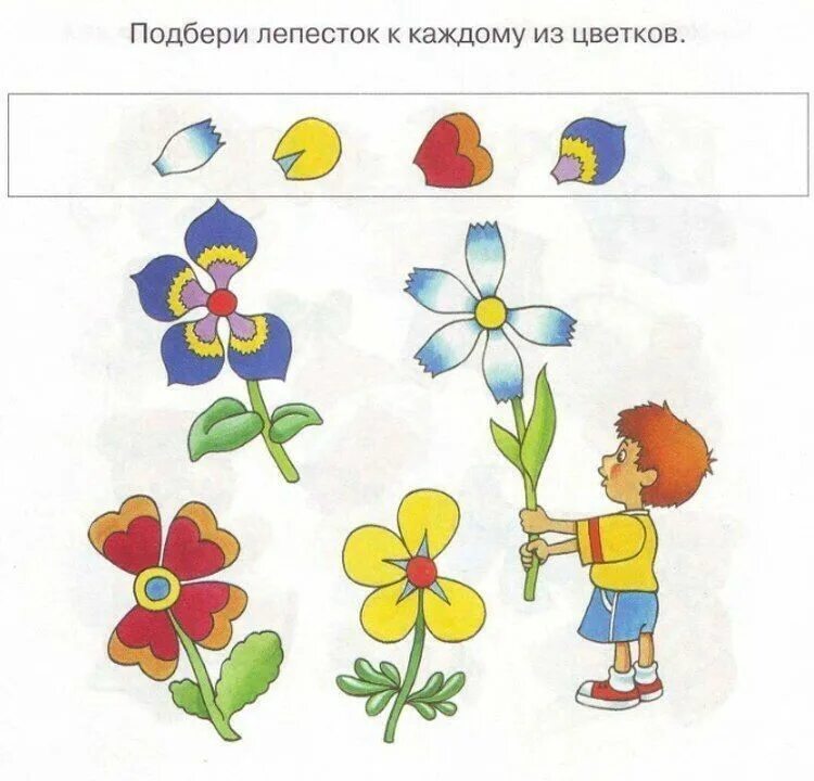Цветы задания для малышей. Занятие про цветов. Цветы задания для дошкольников. Занятие про цветов. Растения задания для дошкольников.