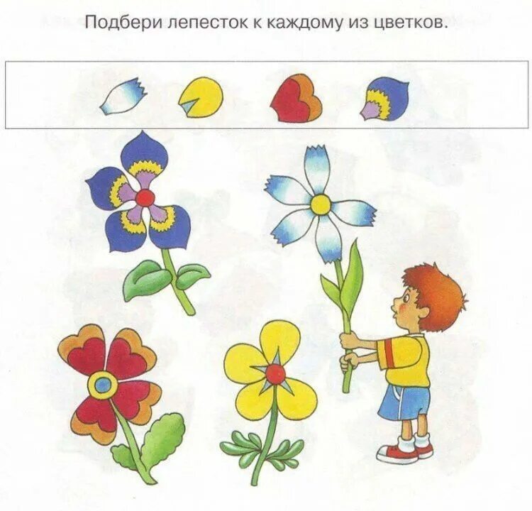 Про цветы для детей 5 лет. Цветы задания для детей. Цветы задание для дошколь. Цветы задания для малышей. Цветы задания для дошкольников.