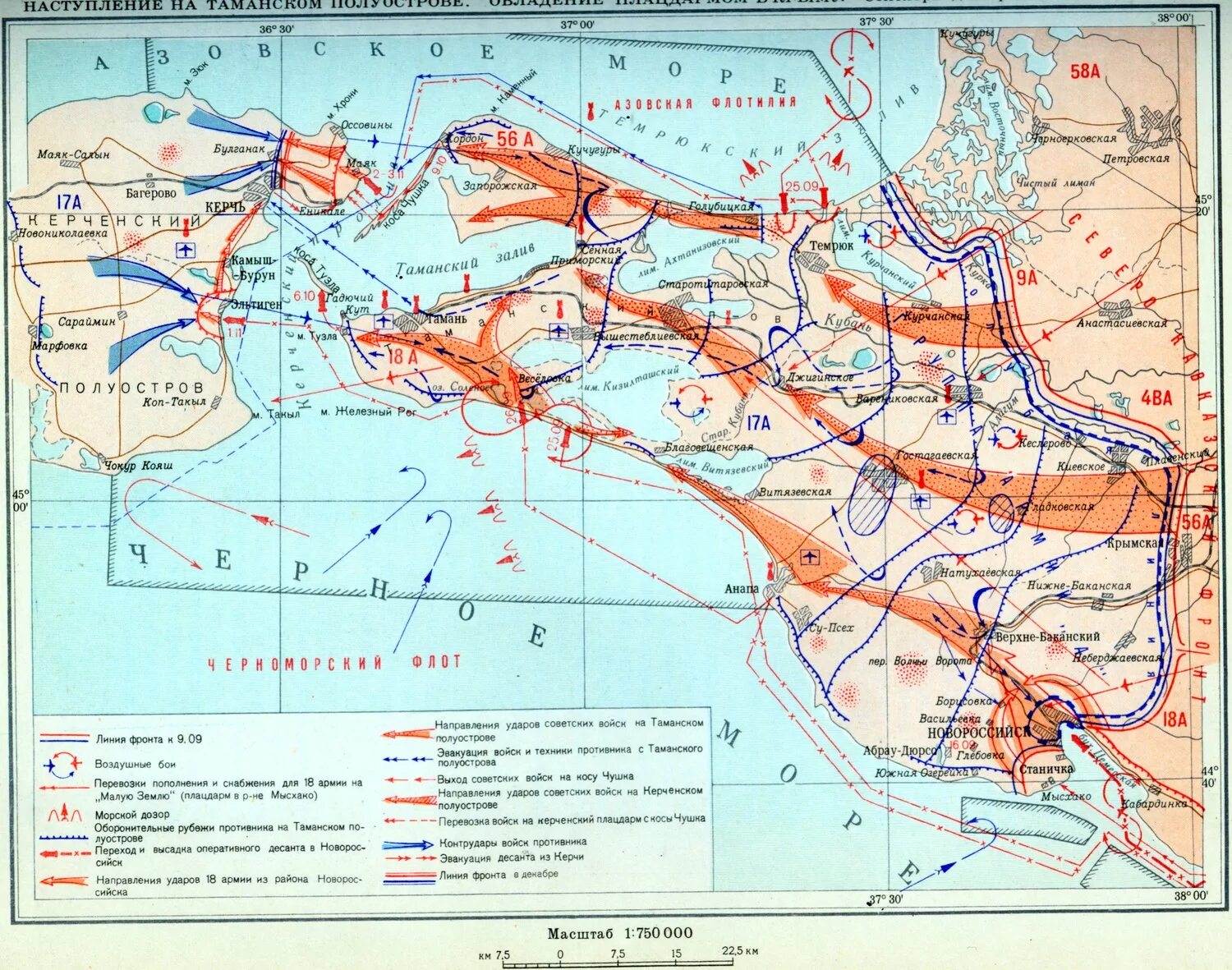 Новороссийско-Таманская операция 1943 года. Освобождение Таманского полуострова 1943 голубая линия. Голубая линия в годы войны Крымский район. Таманский полуостров 1943 голубая линия. Северо кавказская операция