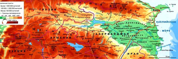 Кур хабаровский край