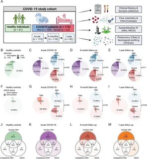 (B–I) Prevalence of ANA titers (B-E) and ANCA (F-I) in healthy... 