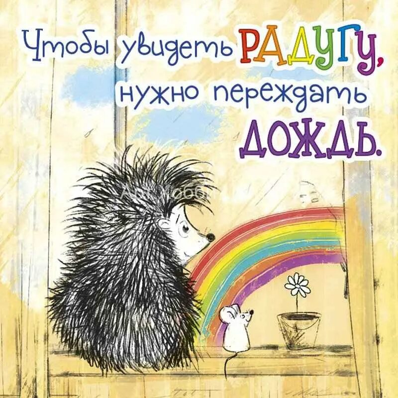 Надо пережить дождь. Чтобы увидеть радугу надо пережить дождь цитаты. Открытки чтобы увидеть радугу надо пережить дождь. Чтобы увидеть радугу надо пережить. Чтобы увидеть радугу нужно переждать дождь.