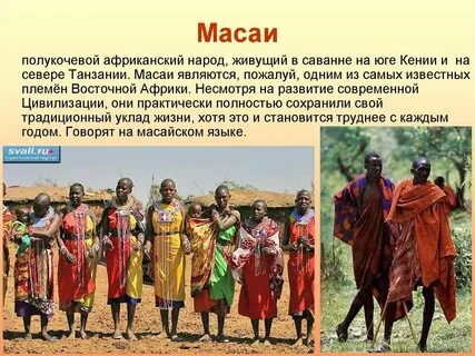 Презентация племена