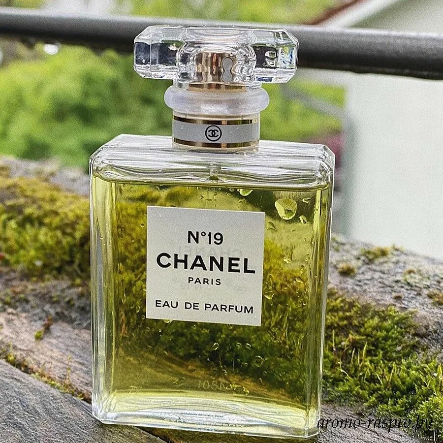 женские фужерные парфюмы. шипровый парфюм. шипровый аромат это. что относится к шипровым ароматом. шипровый аромат что это значит.