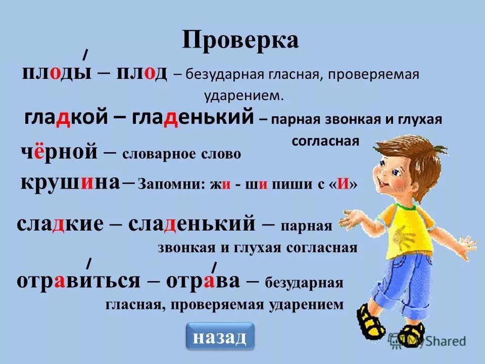 Слово на х 6