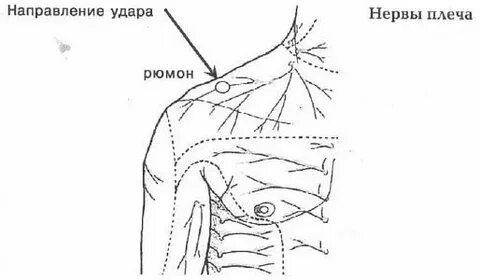 Верхняя грудная точка
