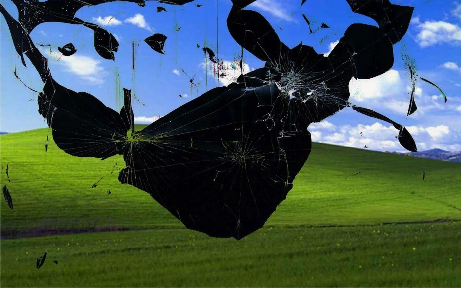 Computer flies