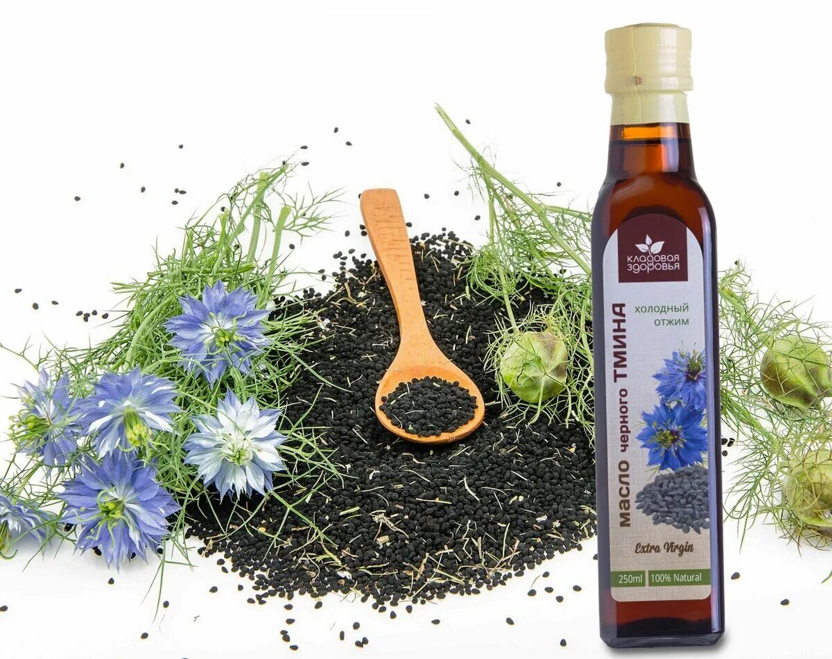 Калинджи черный тмин. Семена тмина nigella sativa. Как выглядит черный тмин. Как выглядит черный тмин. Тмин семена.