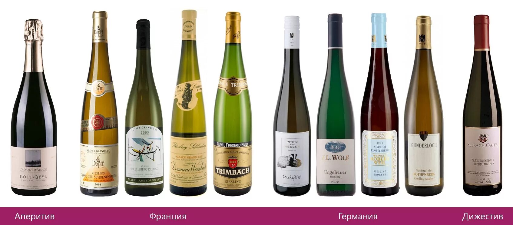 Вино белое рислинг вино германия. Вино белое рислинг семигорье. Riesling вино белое. Вино с виноградом рислинг. Рислинг виноград.